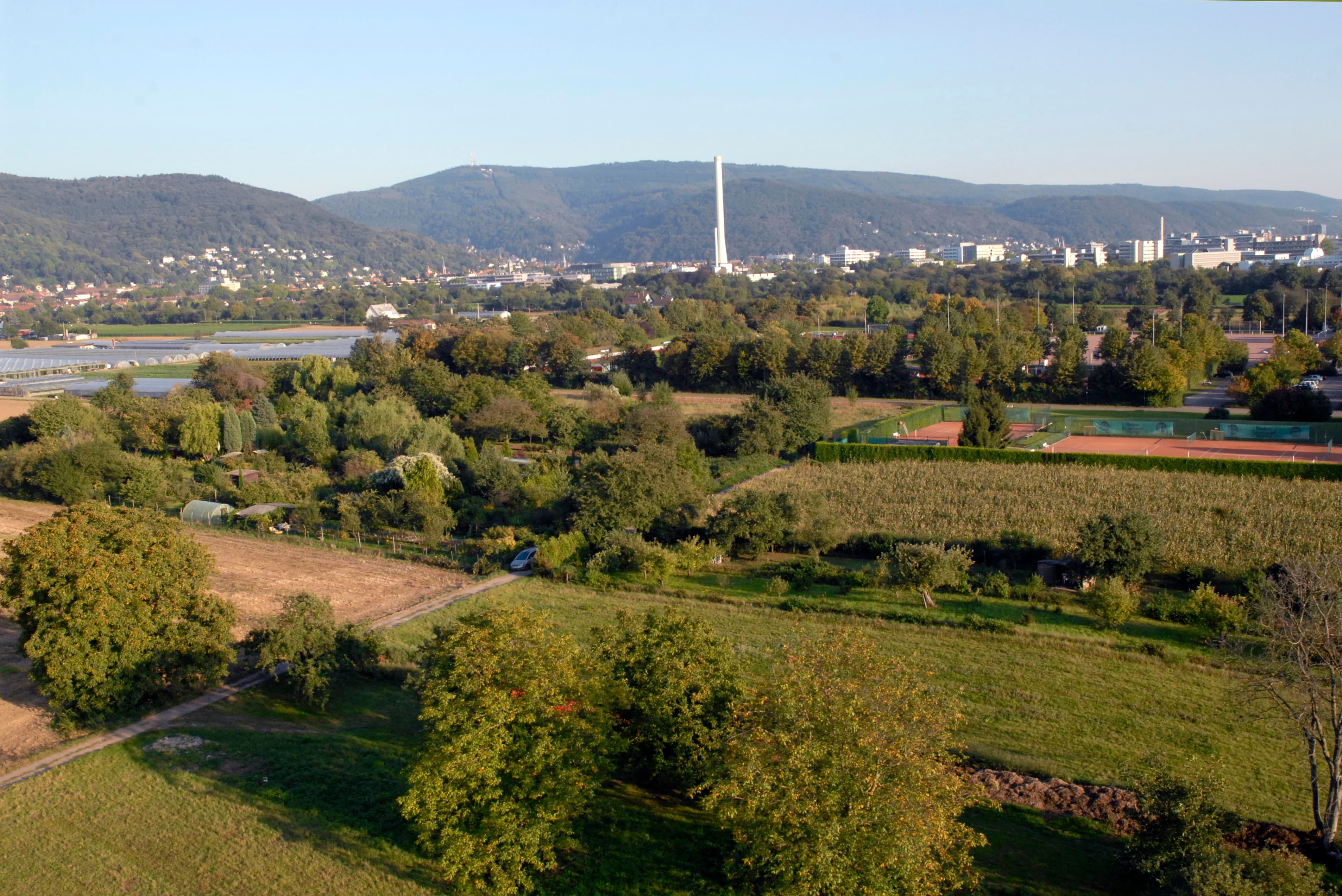 Handschuhsheimer Feld