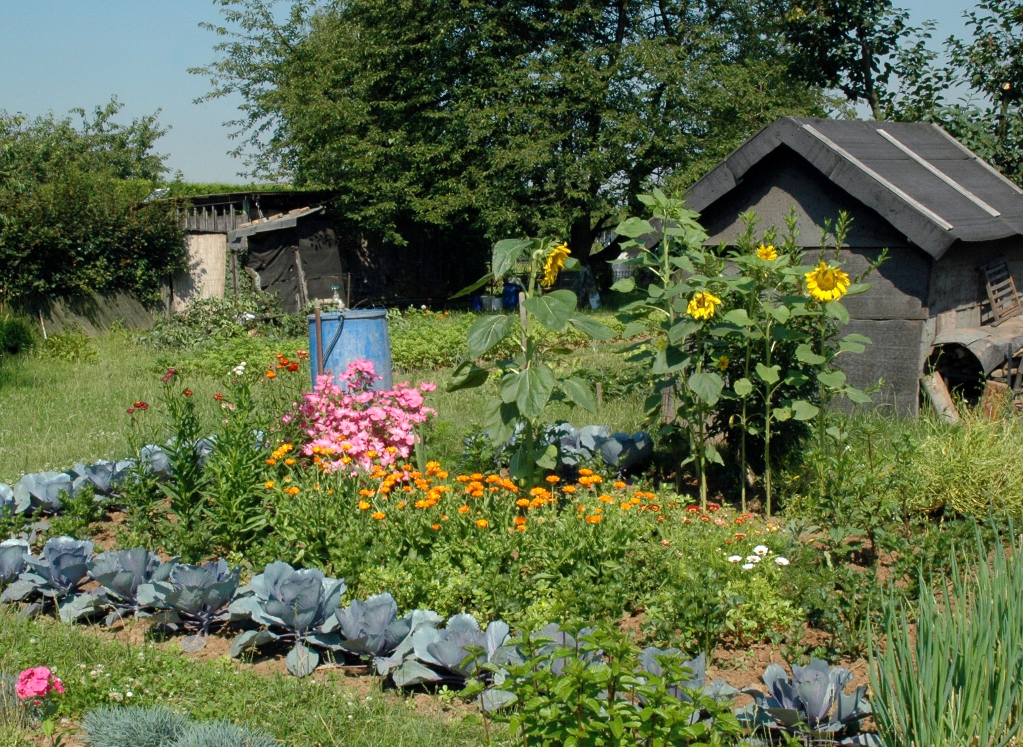 Handschuhsheimer Feld — Bild 1