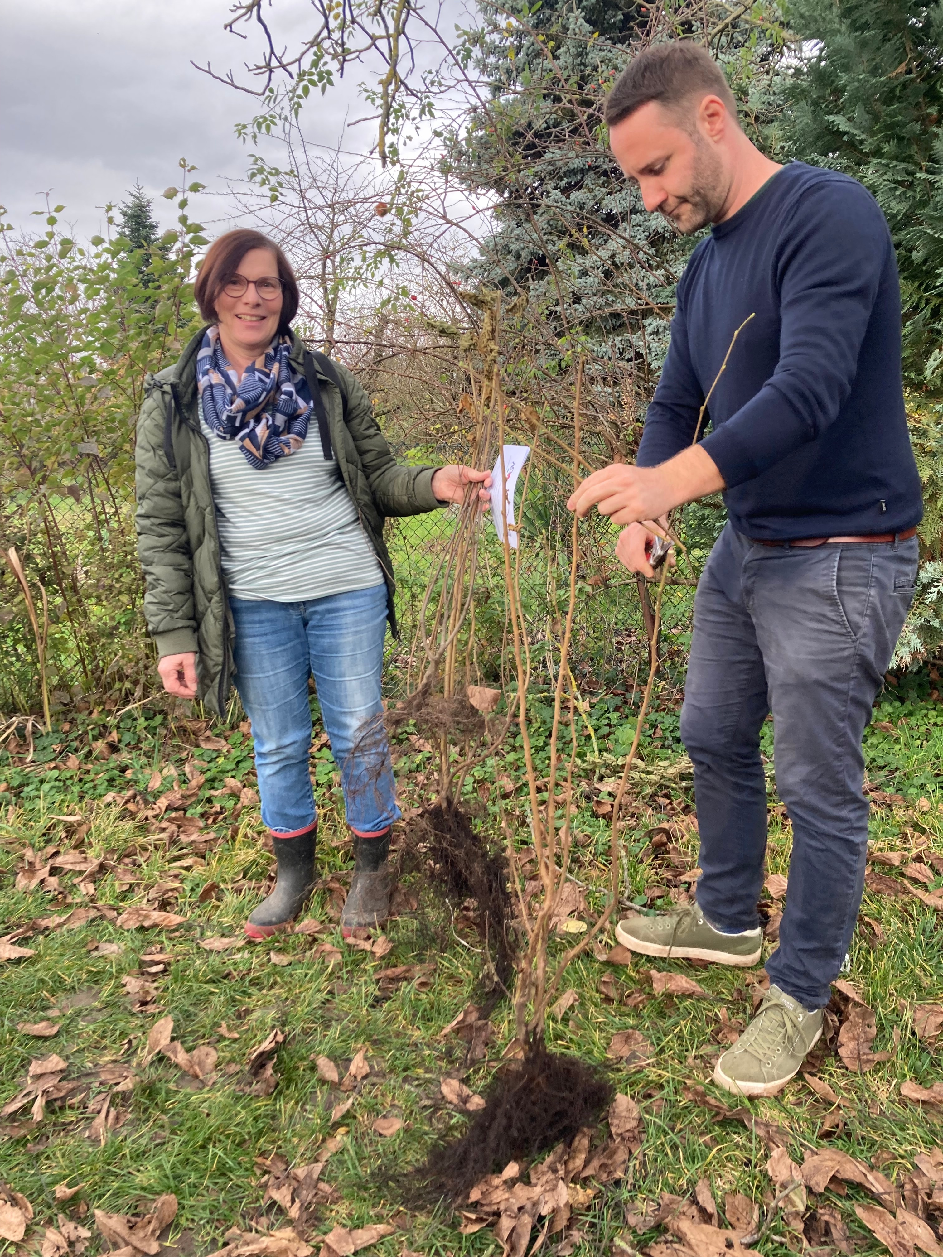Hochstämme und Wildsträucher — Pflanzaktion im Handschuhsheimer Feld